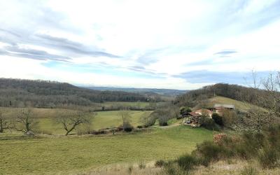 Petit paradis en pleine nature